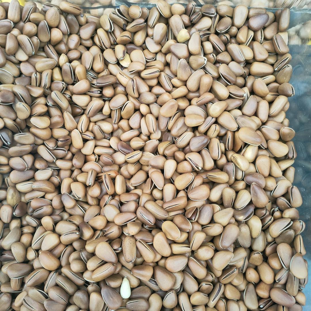 晶姐沈北特色干果小铺