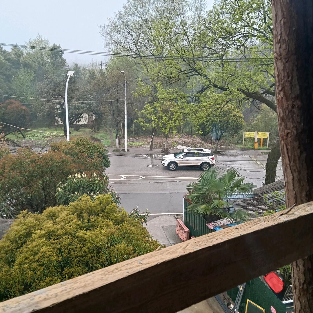 田力