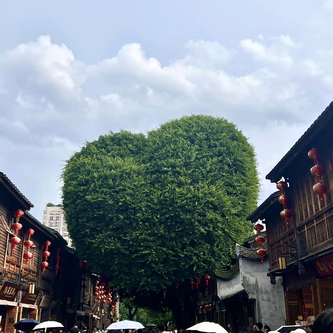泉州市福宏家居有限公司