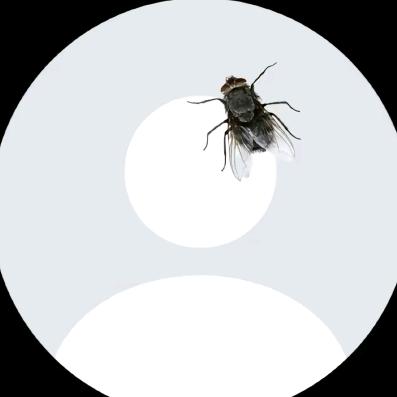 聂聂聂聂聂