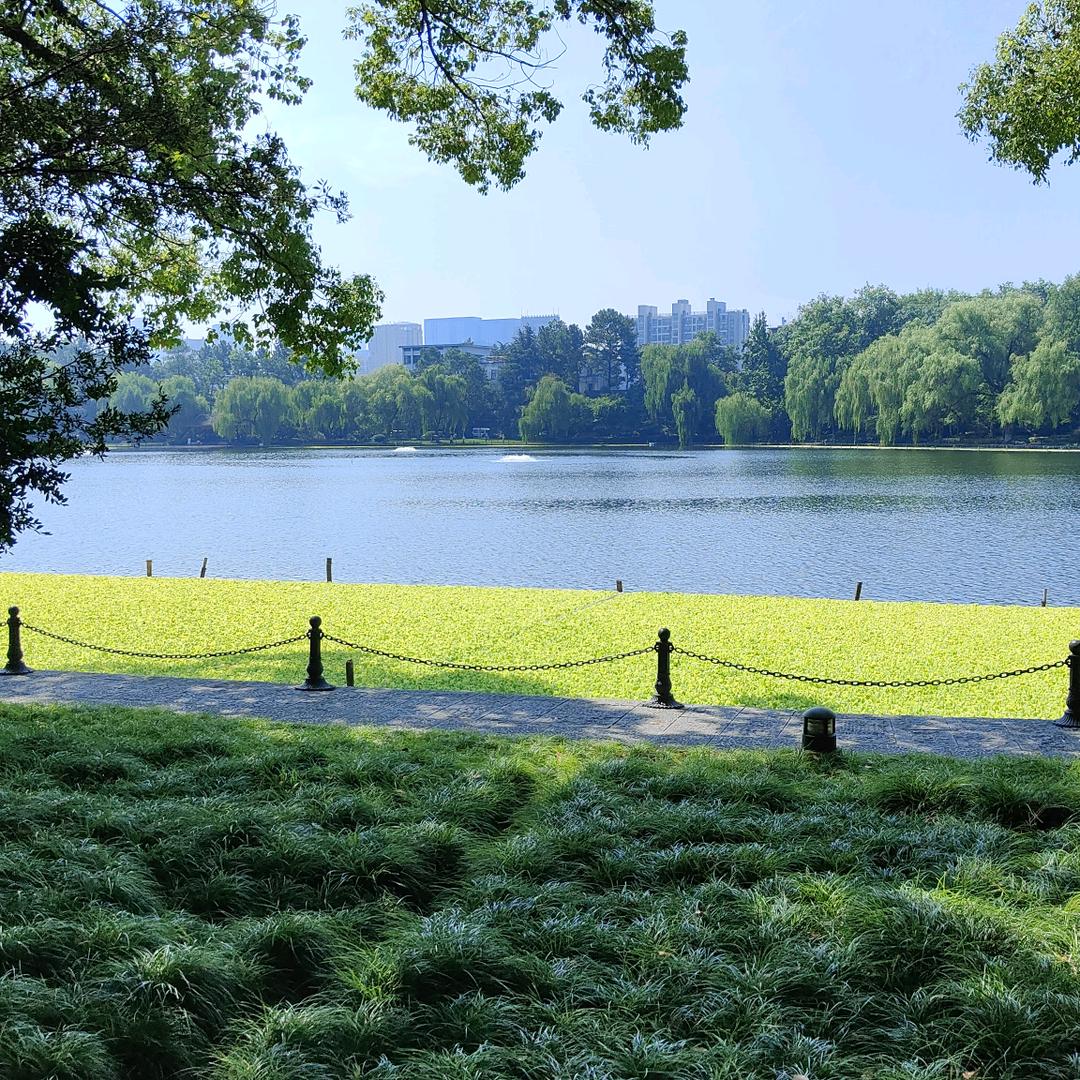 一本户外，蜂业