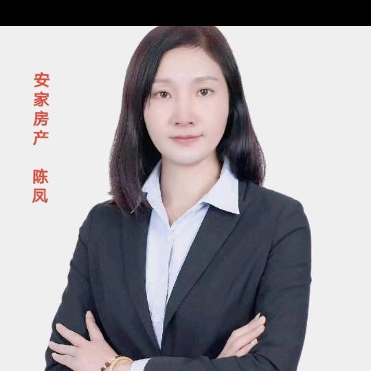 宁乡凤姐买房卖房（资深房产专业）