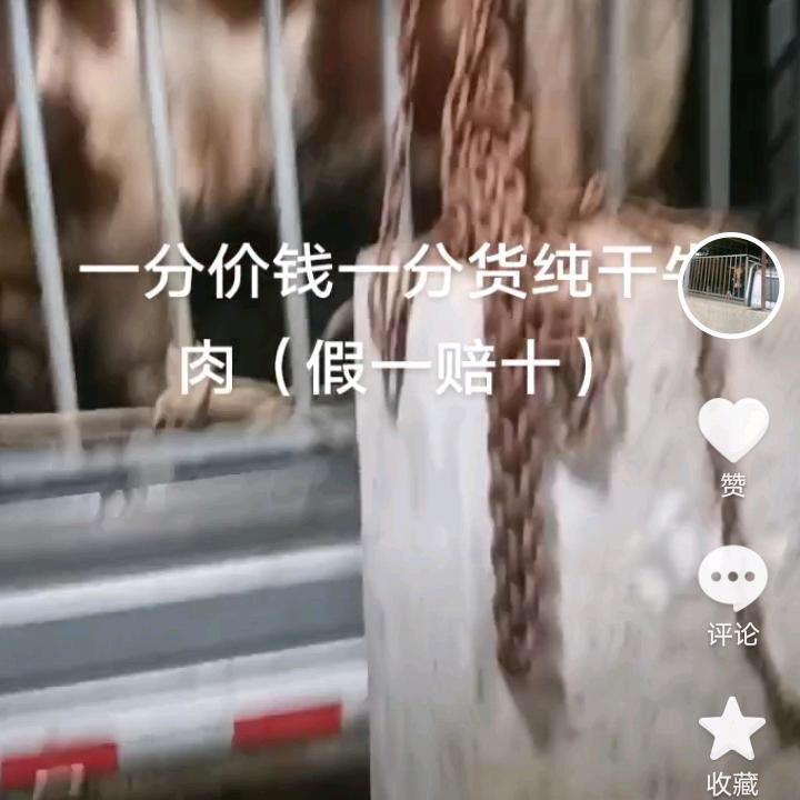 张港纯干牛肉