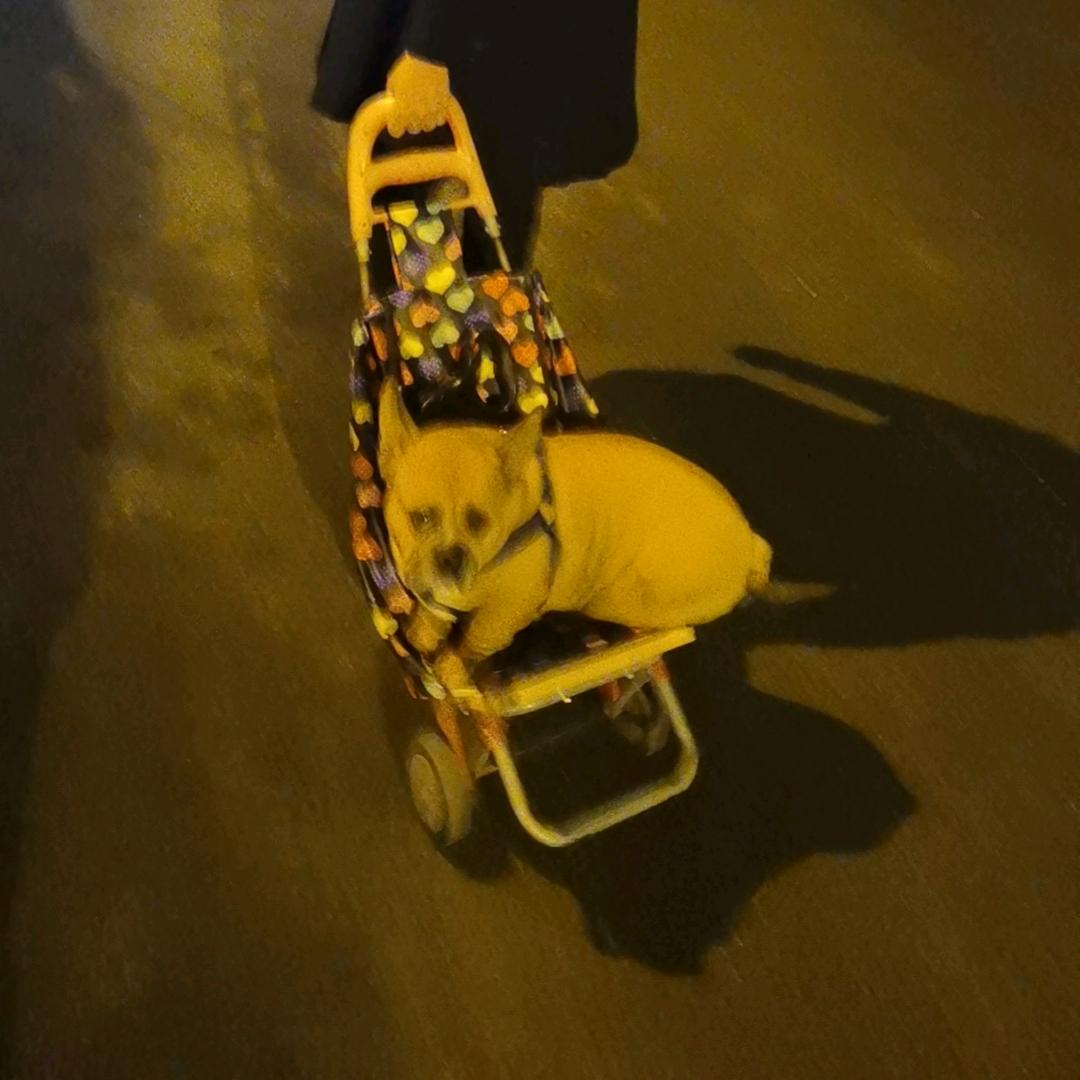 夜空中嘎亮的月