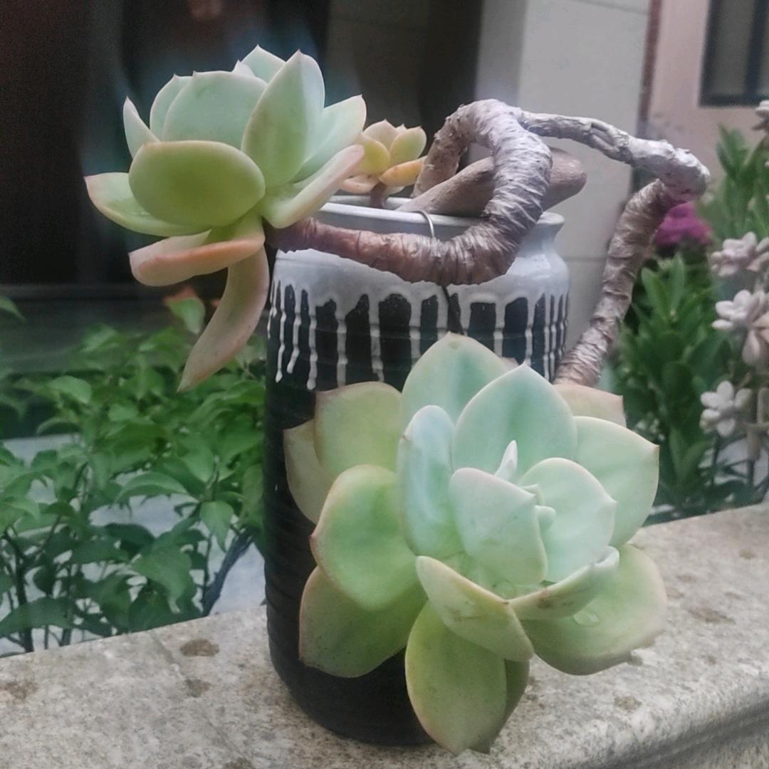 现实
