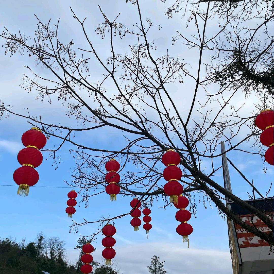 💞⃟半颗ঞৣ糖ഒᩚ