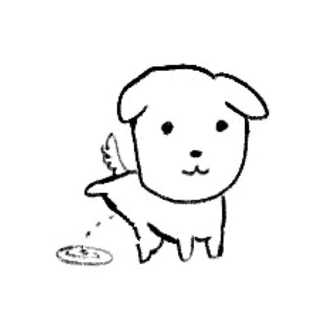 你这品相不一般啊