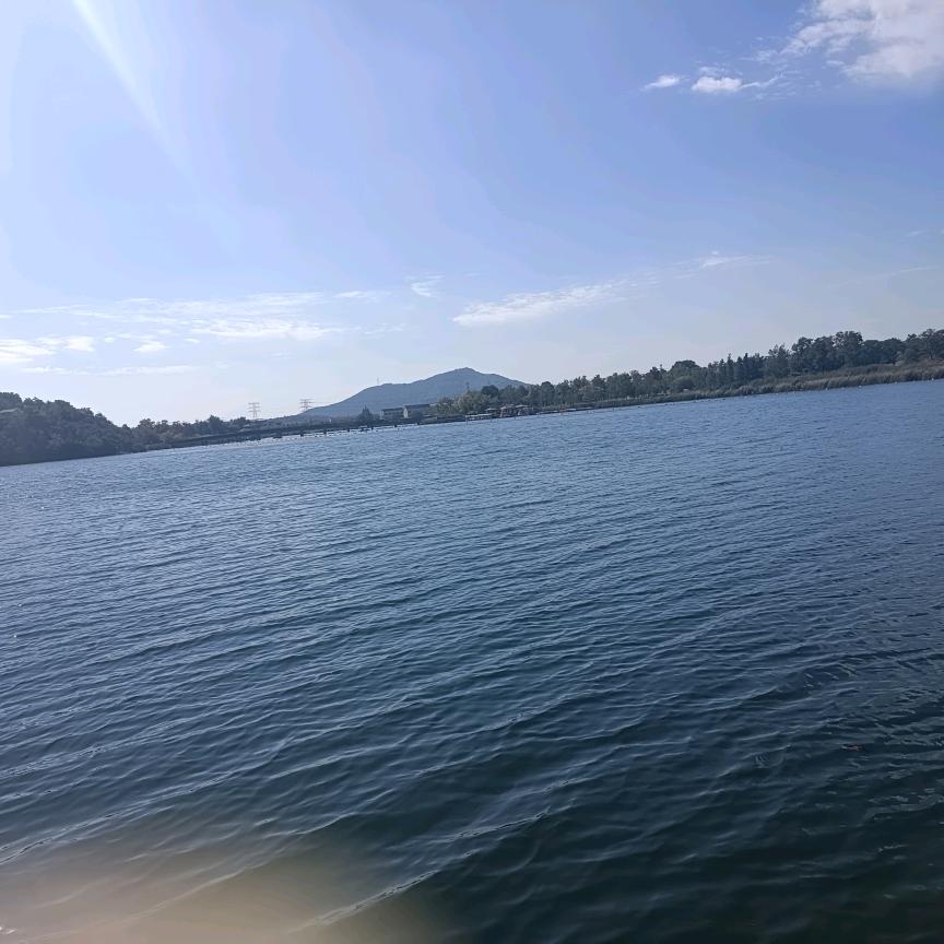 小白