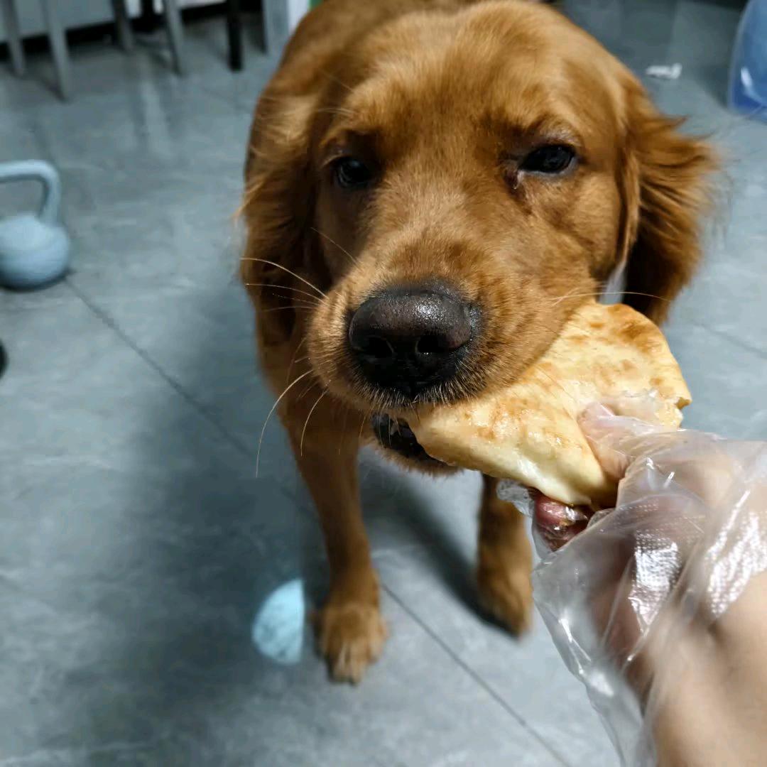 默认