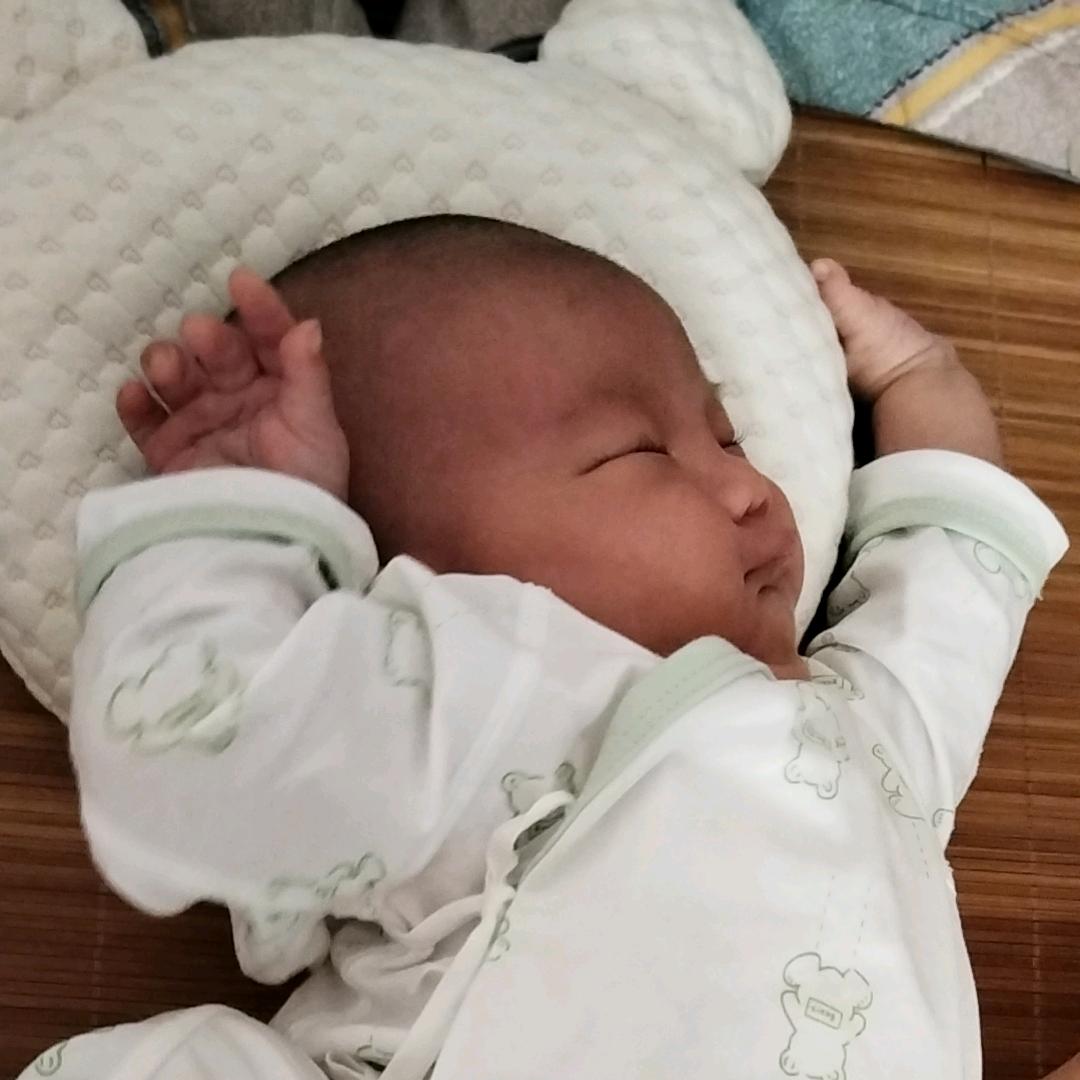 皓皓来了