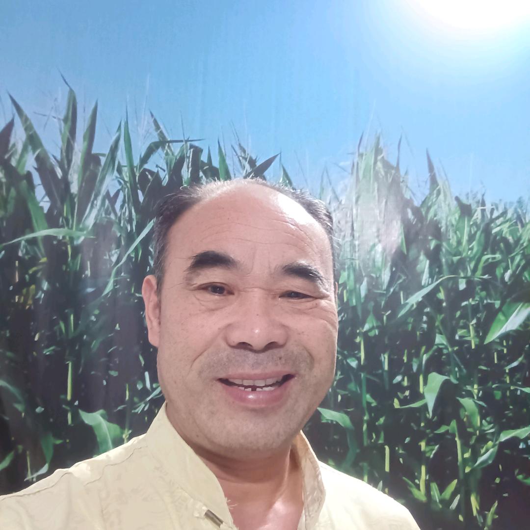 吉祥板