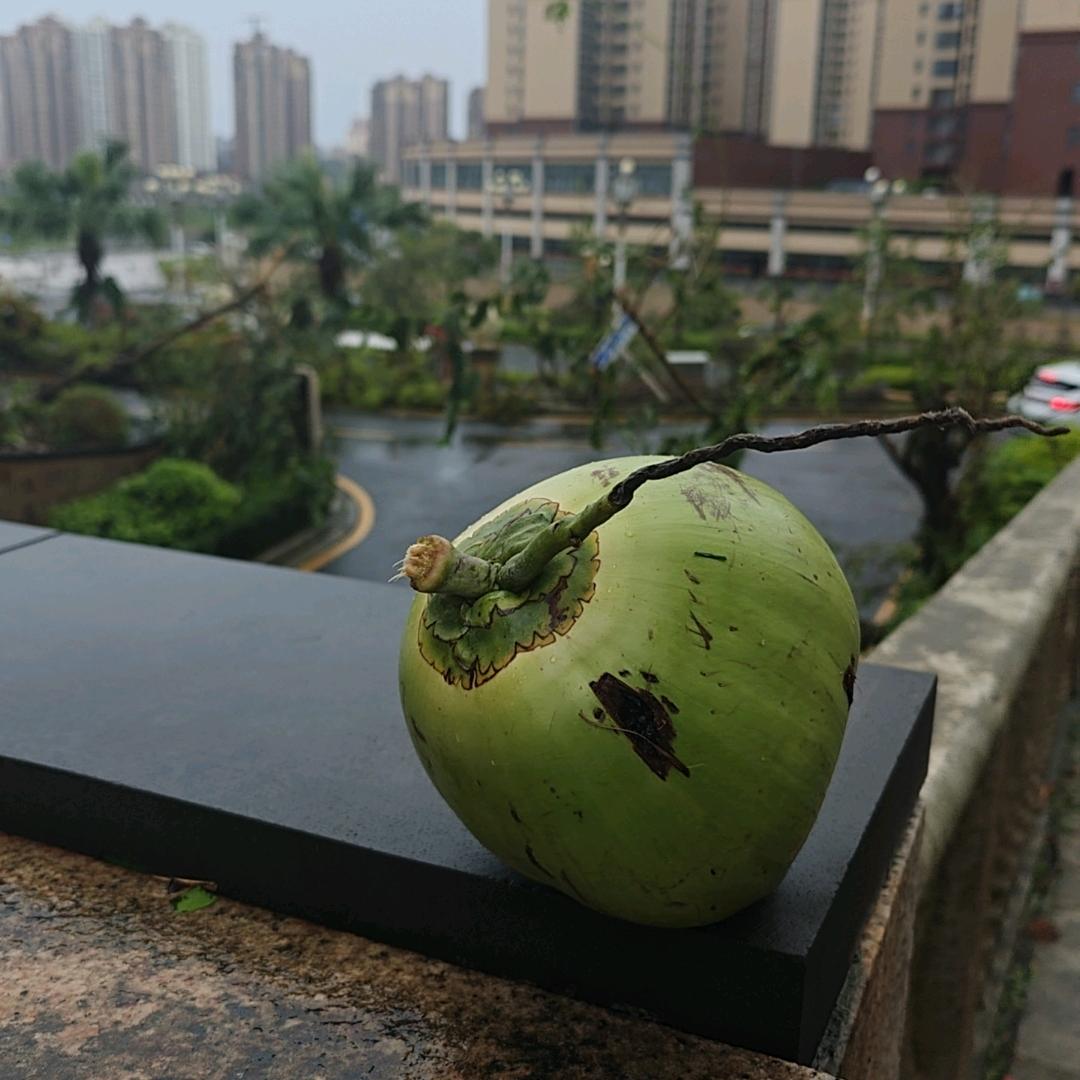 光伏九哥