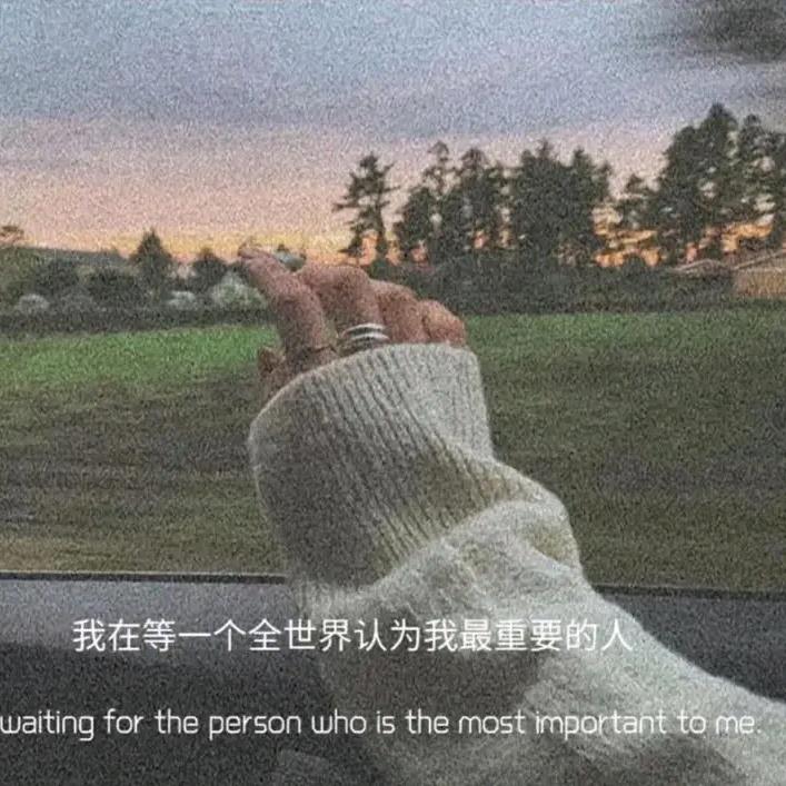 树 先生