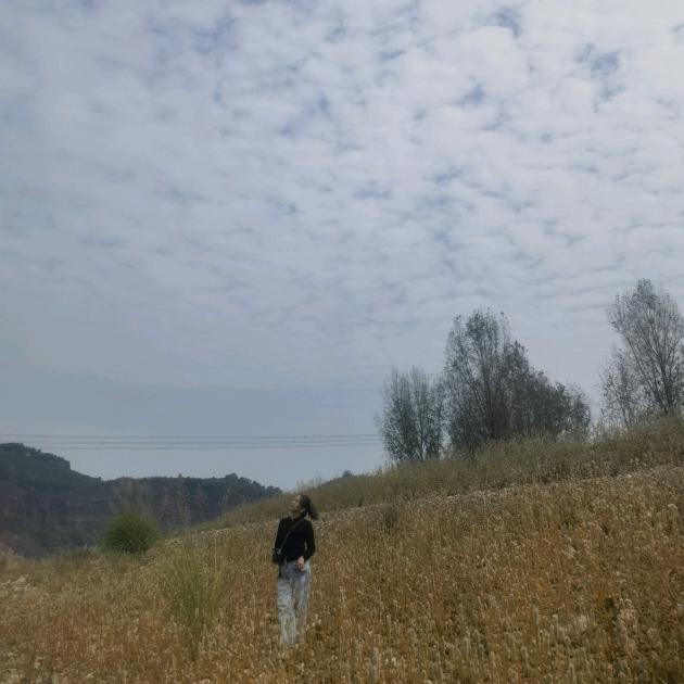 心❤️似柠檬🍋