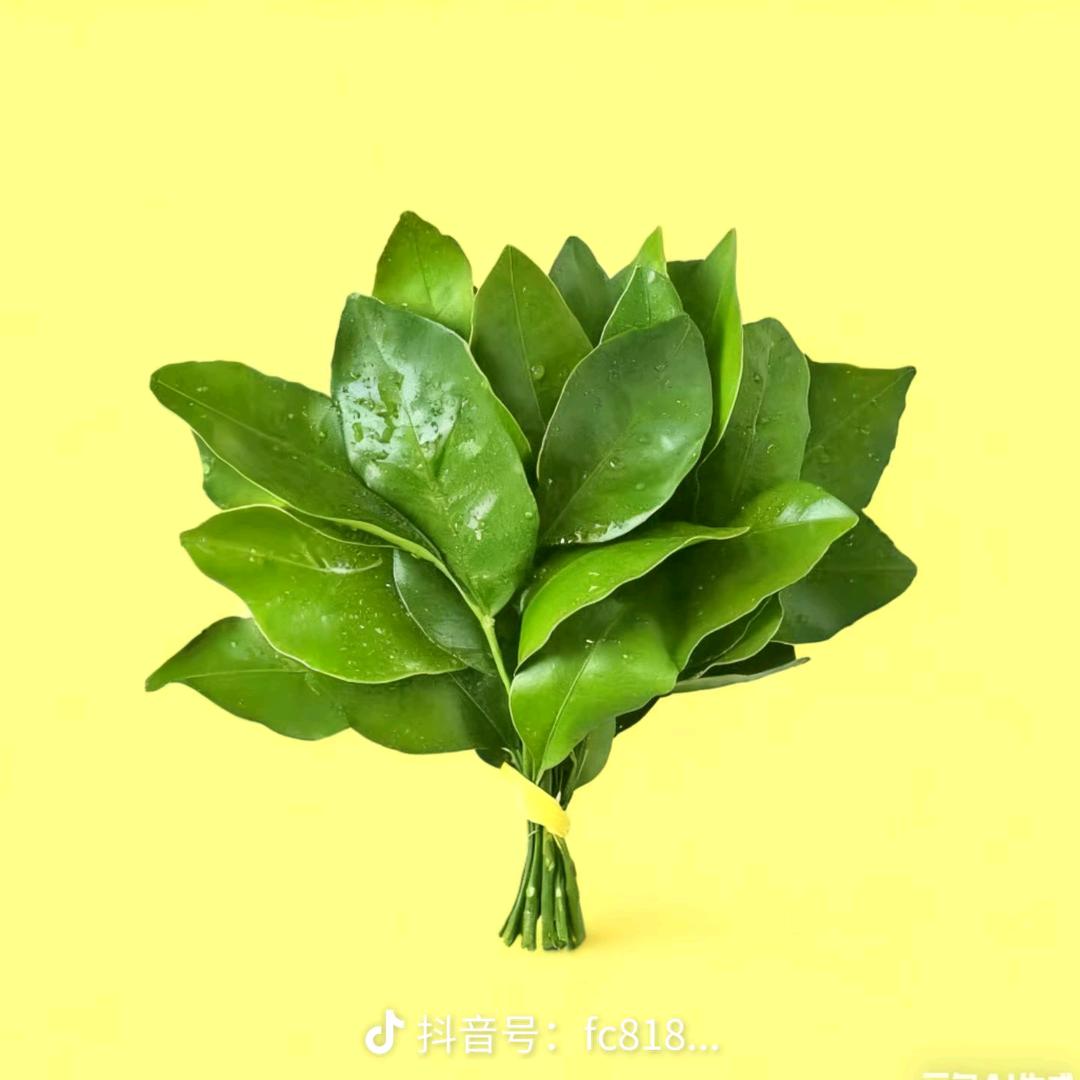 中和农信～小宁