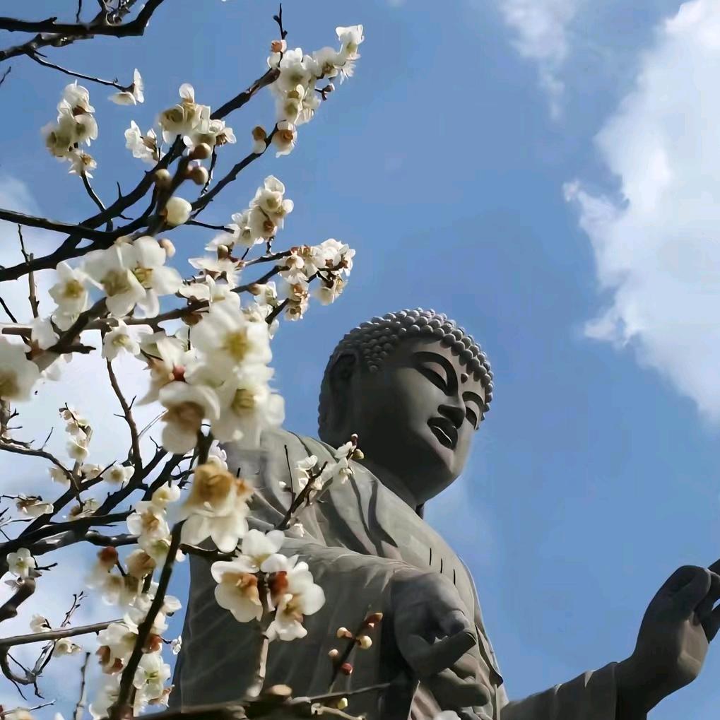 侠客红尘