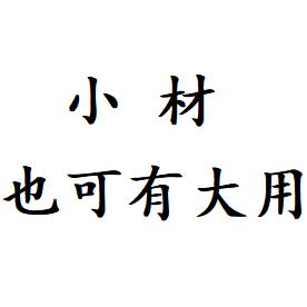 小材大用～与你同行