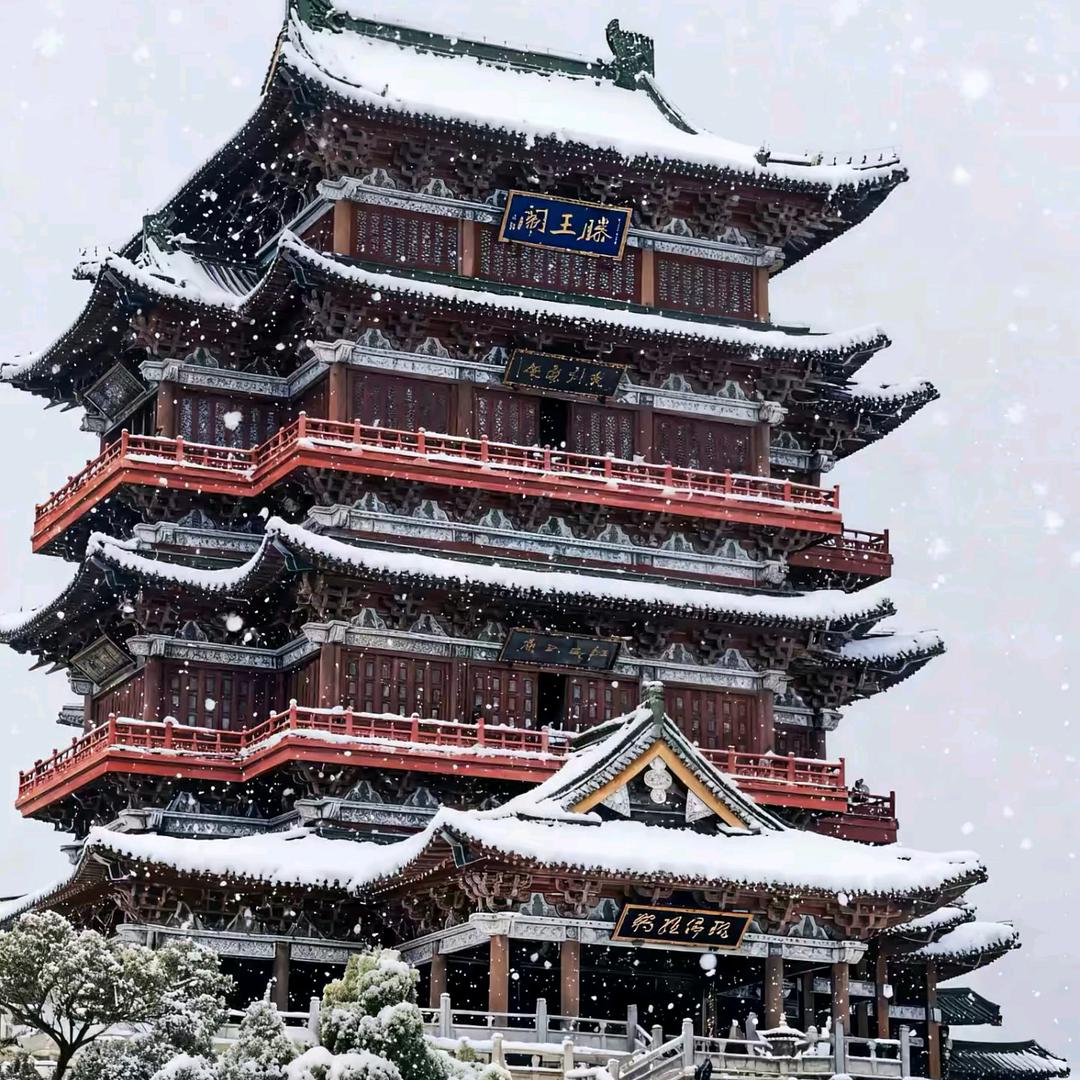 。。。。。。。。。。。