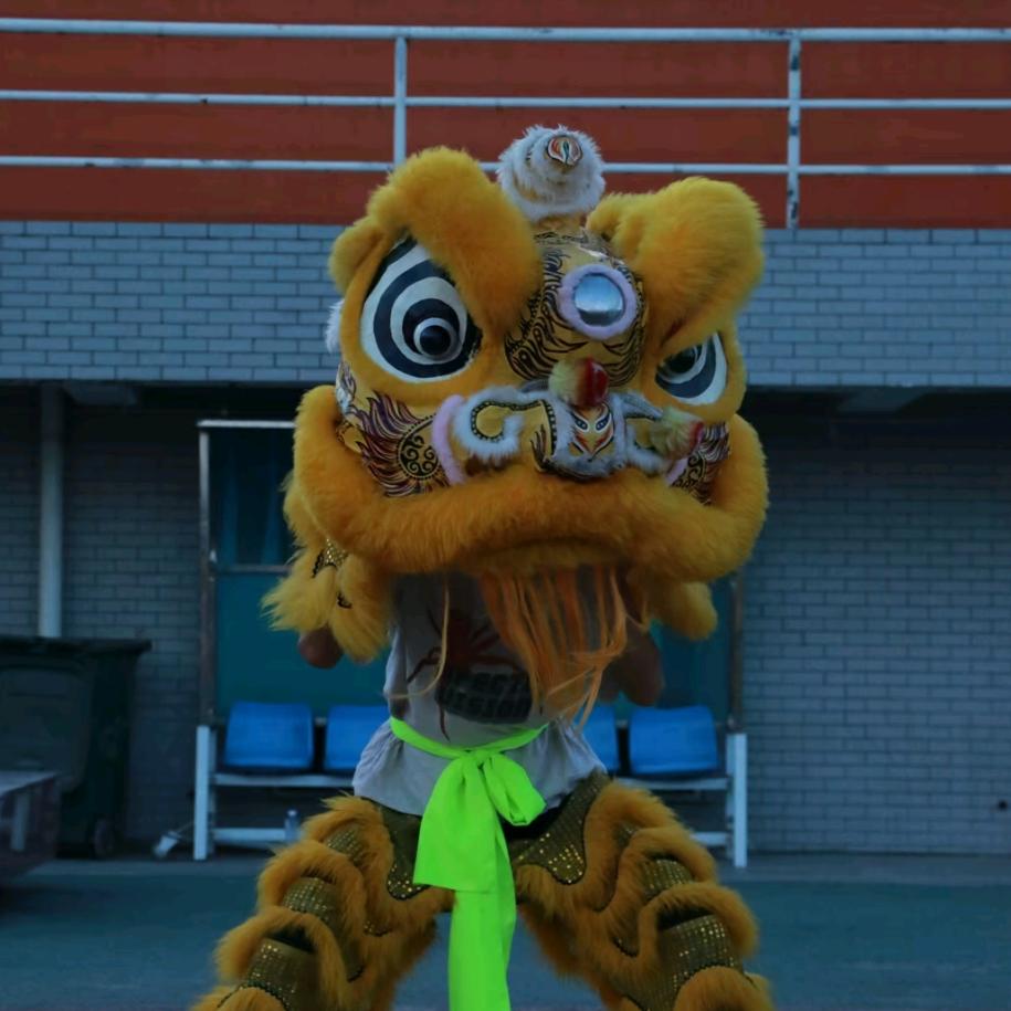 🐉杨杨龙狮堂🦁