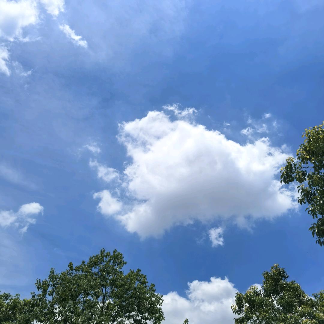 上海宸砵照明科技有限公司