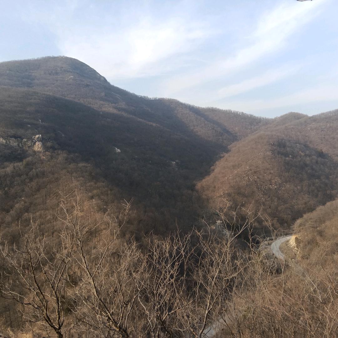 本人抖音停用，新号43432932463