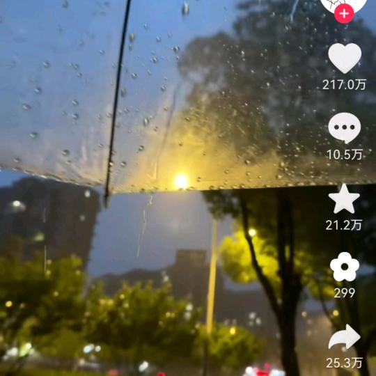 雨中漫漫步