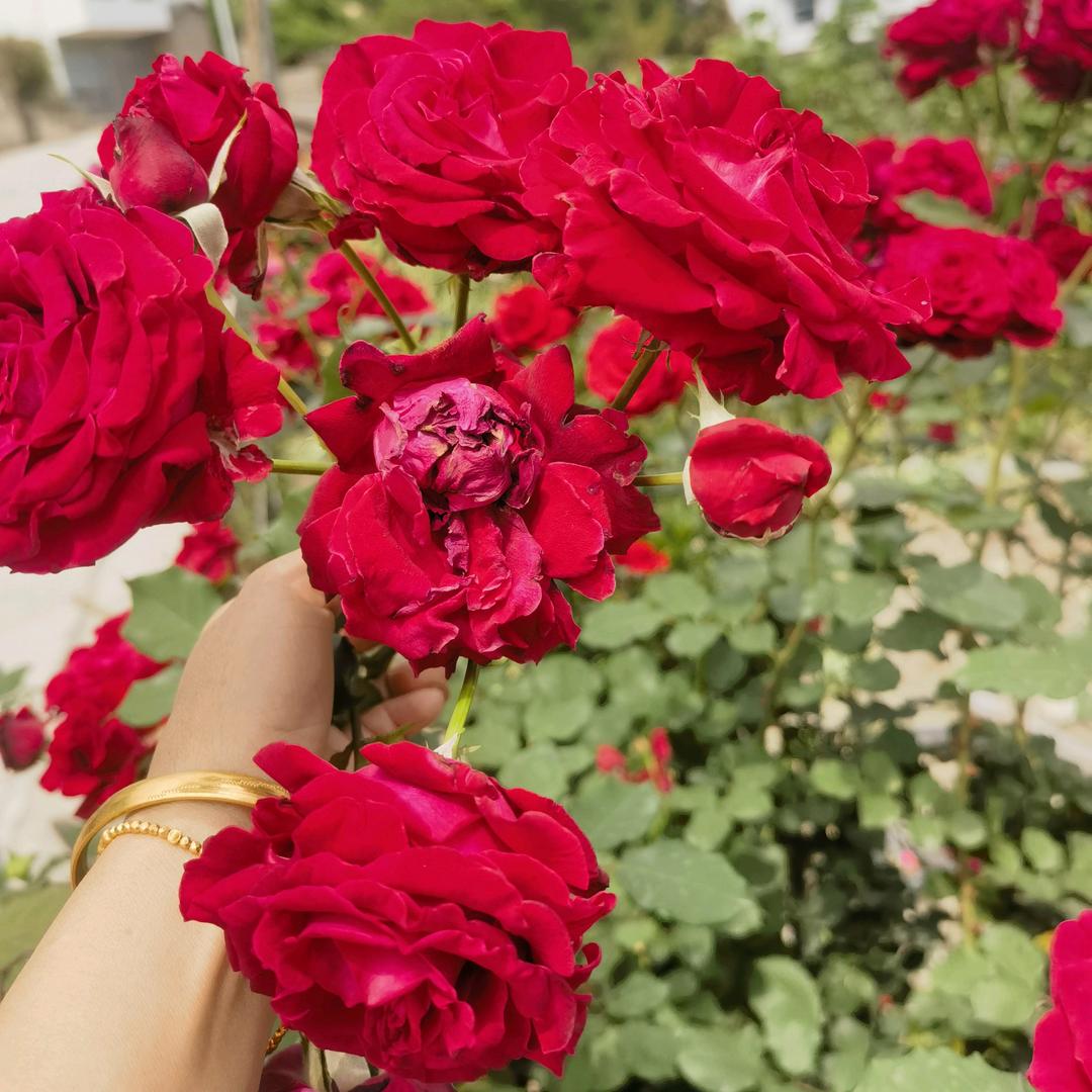 💞莫忘℘᭄ᩚ初心💞᭄᪲ᩚ