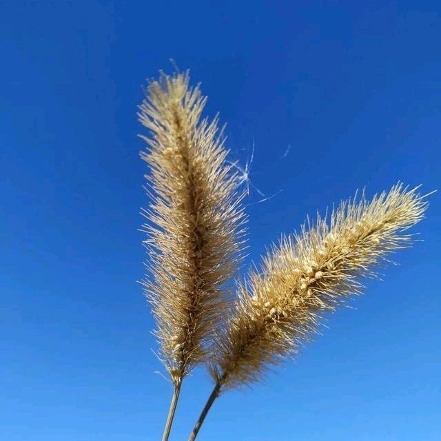 海阔天空@