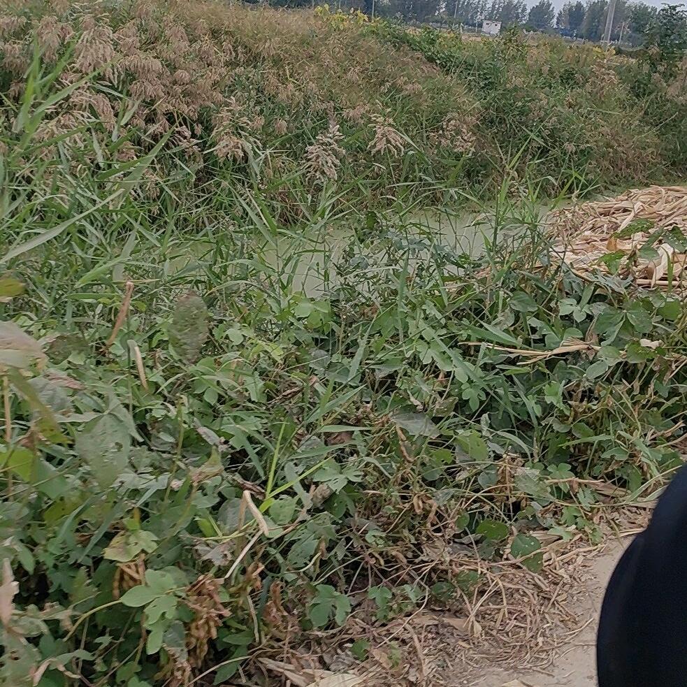 玄永六生活号