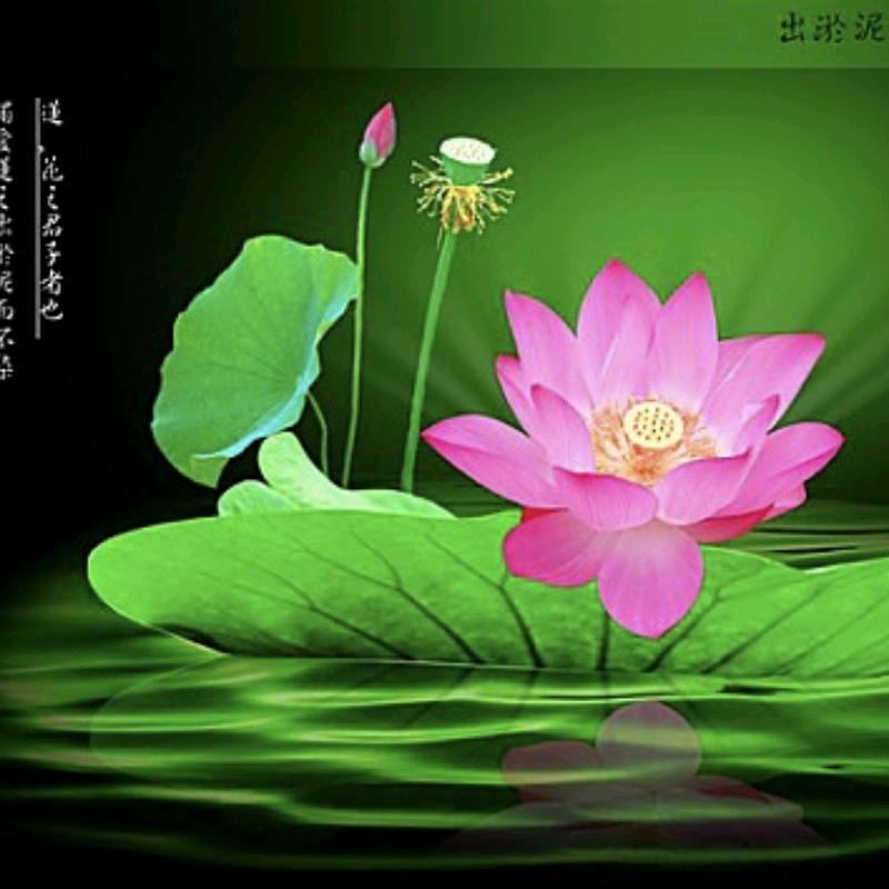 爱拍手写爱骑行