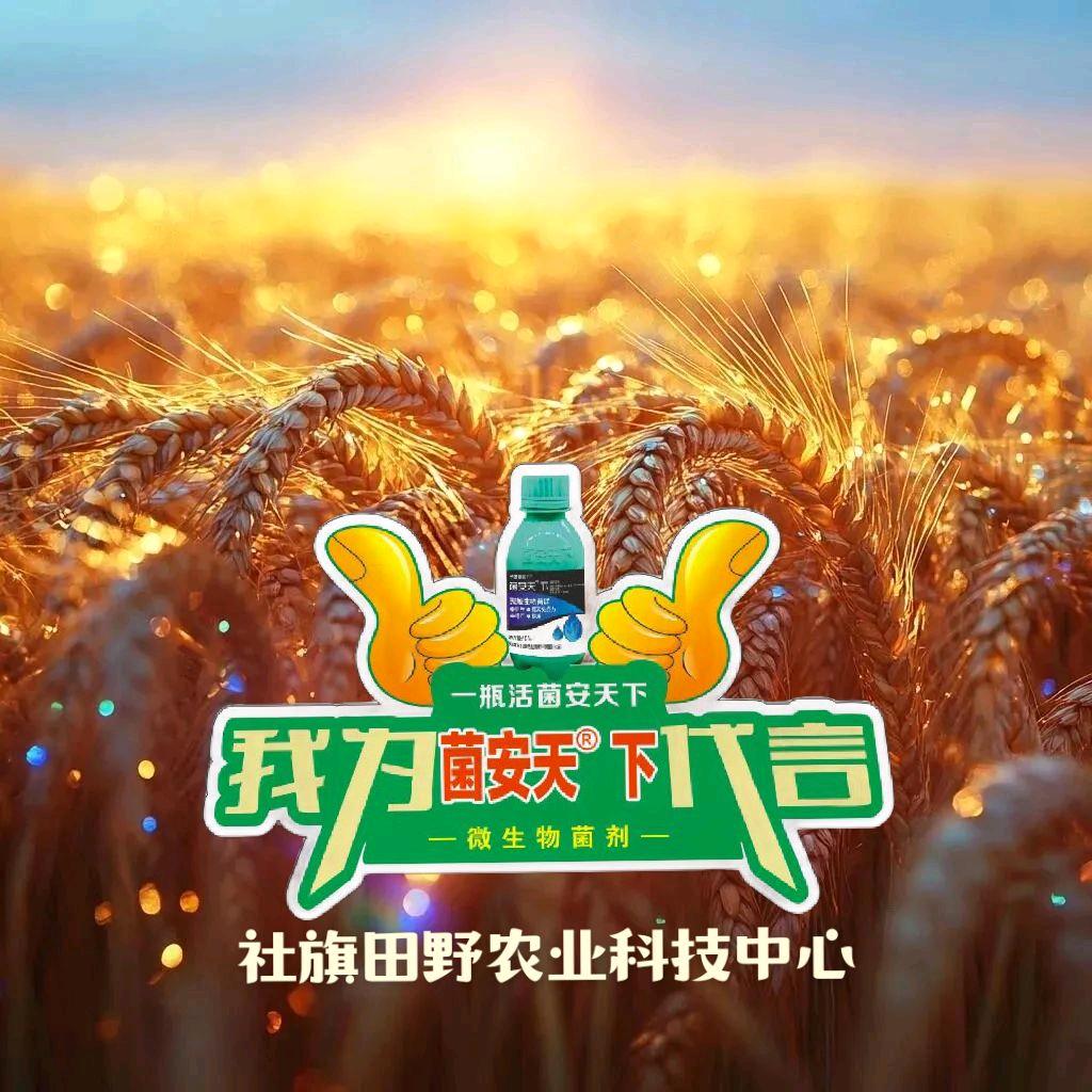 田野农业科技（菌安天ᴿ下代理推广）