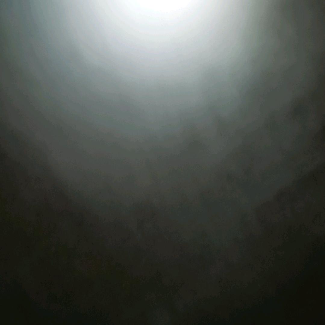 b1