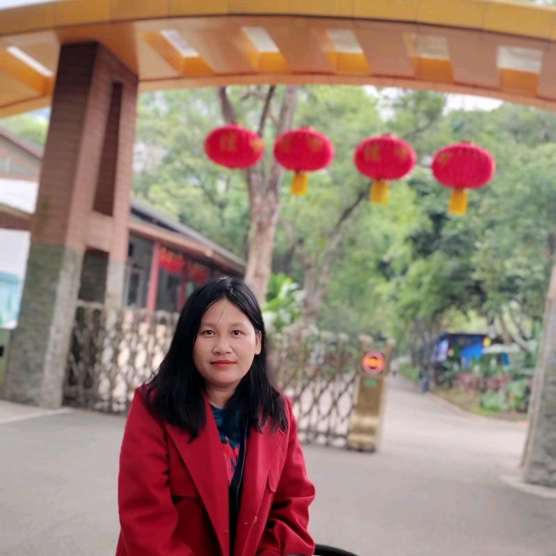 博胜电子--林梅电子