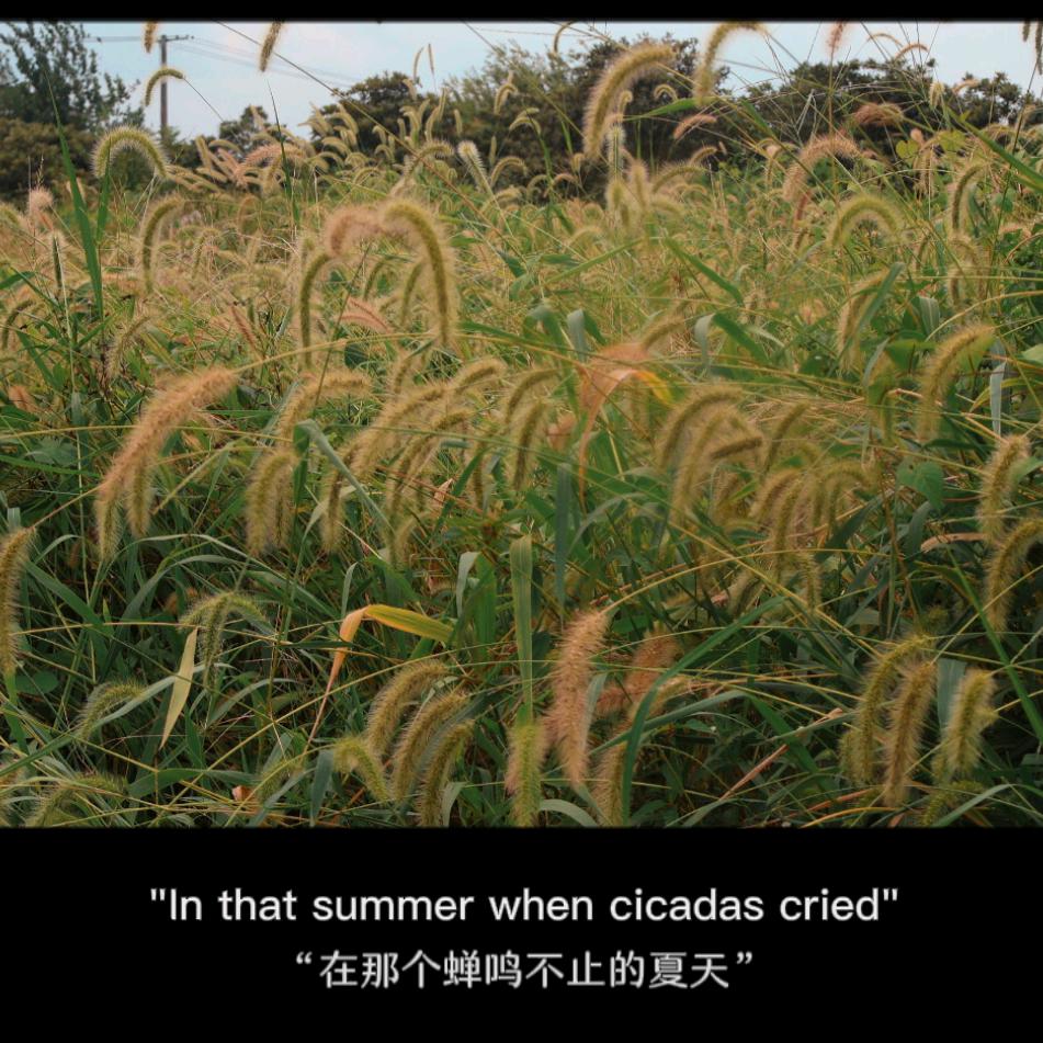 蓦然回首