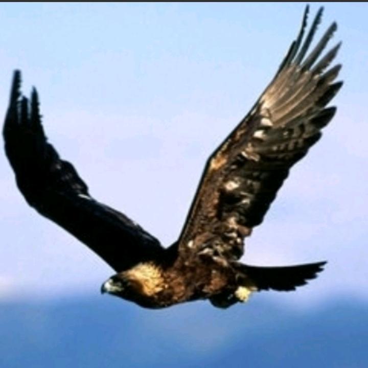 🍊朱姐，心静路宽