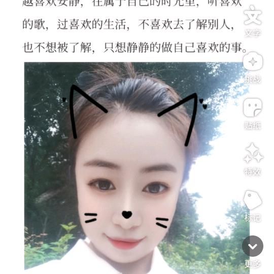 梦幻精灵