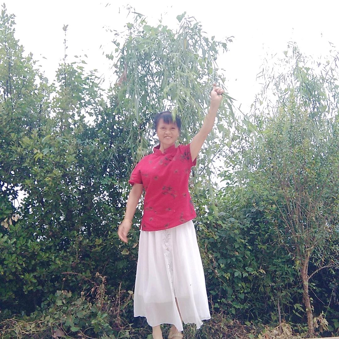 梅珍