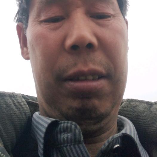 完美是我的追求