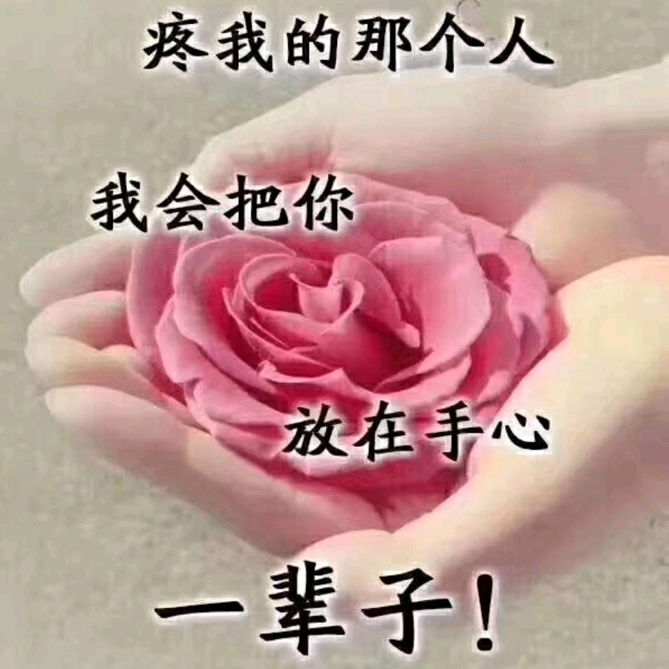 最熟悉的陌生人