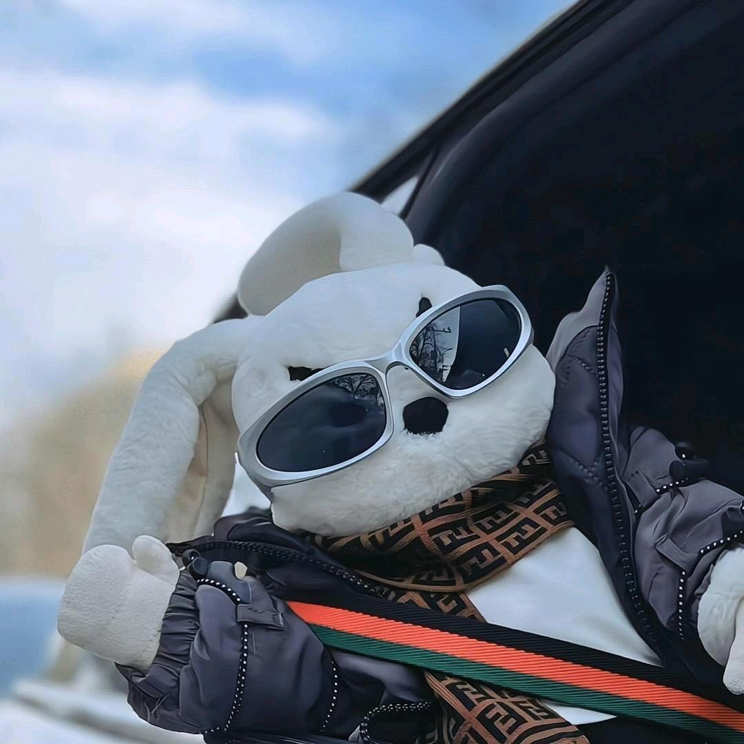 毛蛋