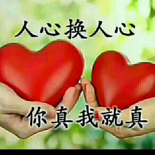 华仔1