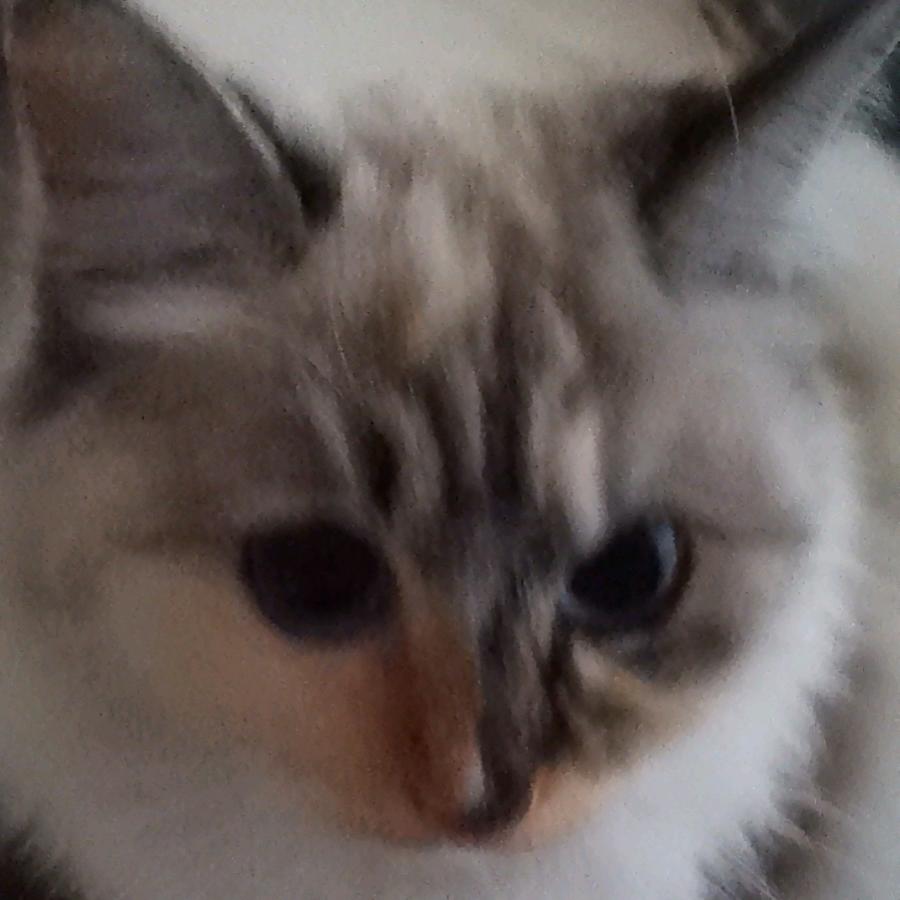 风中有李⁸⁷⁸⁷