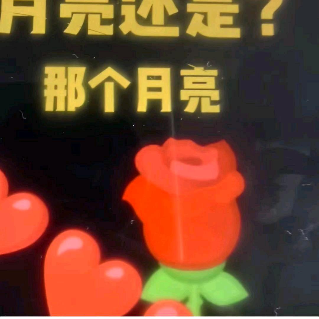 缘，梦，🌹🌷🌹🌷🌹🌷🌹🌷