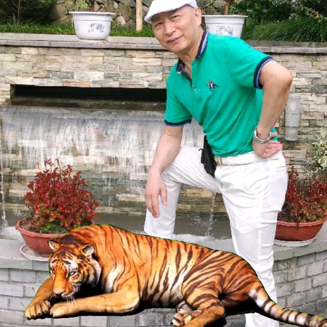 潇潇洒洒