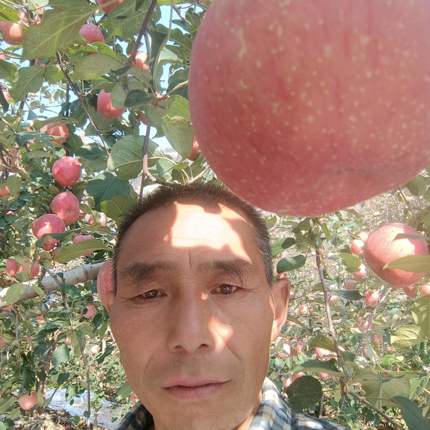 济南苹果老孙