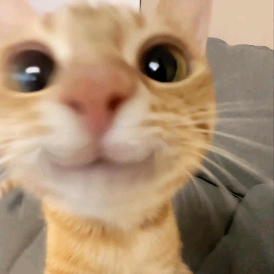 sjr(疯狂出卡版)