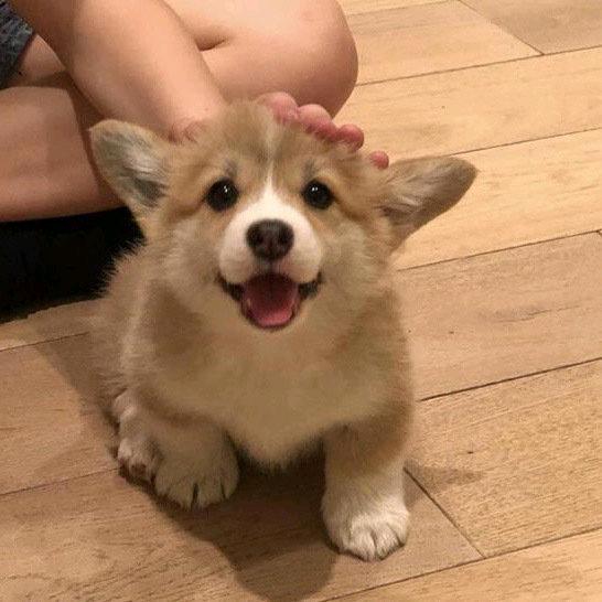 努力呦