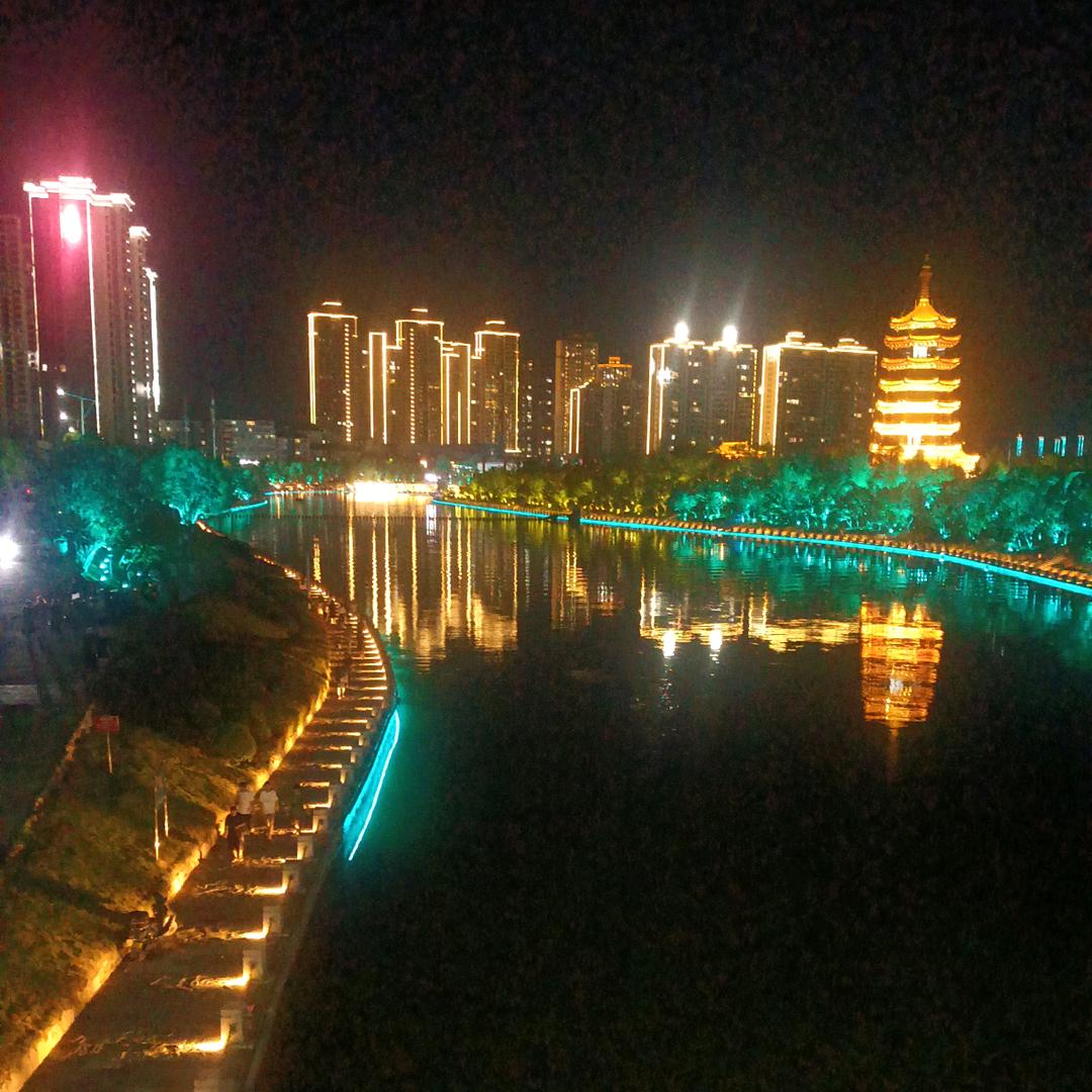 搁浅海豚