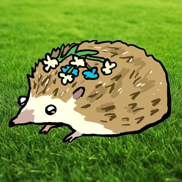 晓舟
