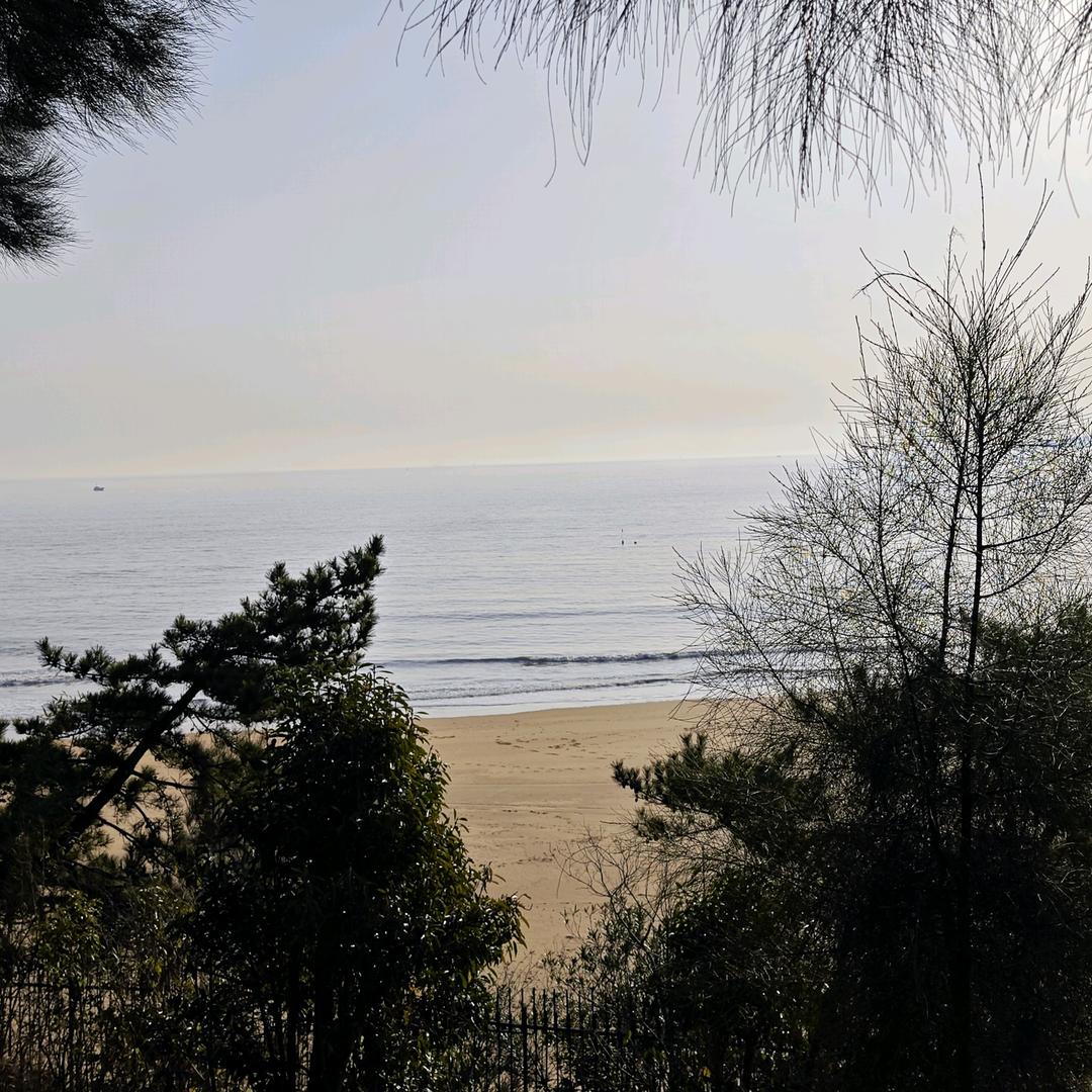 用户854676949646979l